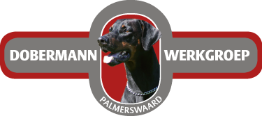 DWG Palmerswaard